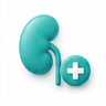 Kidney Support