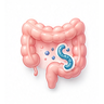 Diarrhea Caused by Parasites