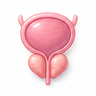 Enlarged Prostate