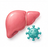 Hepatitis B