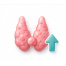 High Parathyroid Hormone