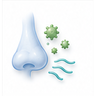 Nasal Allergy Symptoms