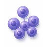 Staphylococcal Bacterial Infections
