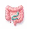 Worm Infections
